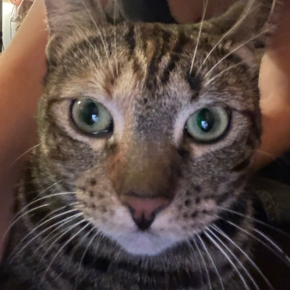 Meet your Posher, Jess - Picture 5 of 5